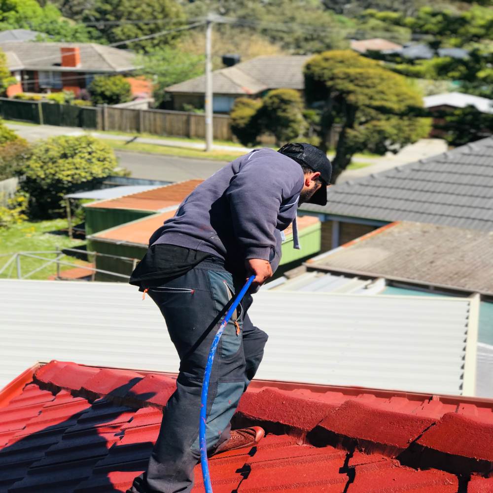 roof-painting